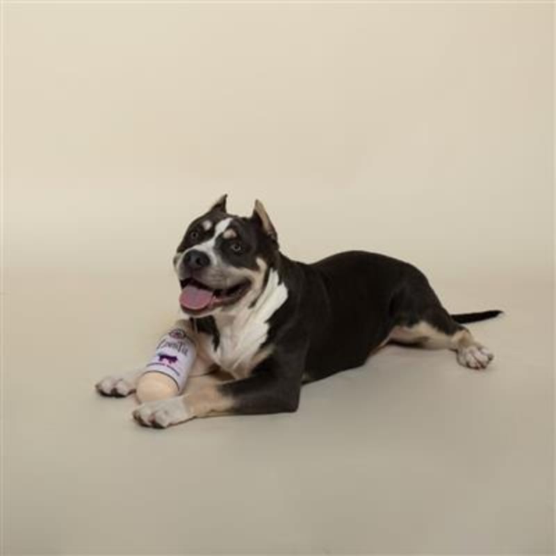 Petshop by Fringe Studio Dog Toys Zinfintail Woofin White Bottle Plush Squeak Dog Toy