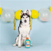 Pet Shop by Fringe Studio dog toys Barkin' Block Plush Squeak Dog Toy