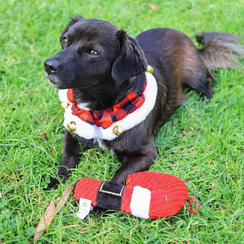 Buffalo Check Holiday Red Ruff with Jingle Bells for Pets