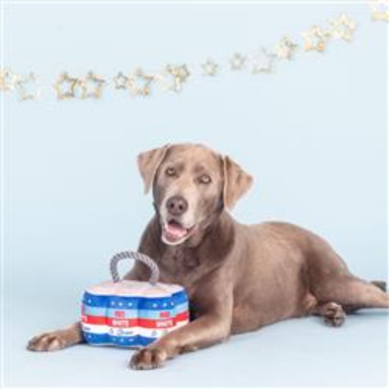 Pet Shop by Fringe Studio dog toys Star Spangled Plush Dog Toy