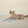 Pet Shop by Fringe Studio dog toys Happy Bark-day Small Plush Dog Toys Set of 3