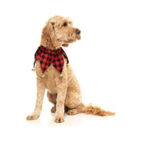 FuzzYard Collars Red Plaid JesterBells Dog Collar