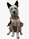Doggie Design Doggie Design - Patriotic Dog Dress with Matching Leash: X-Large
