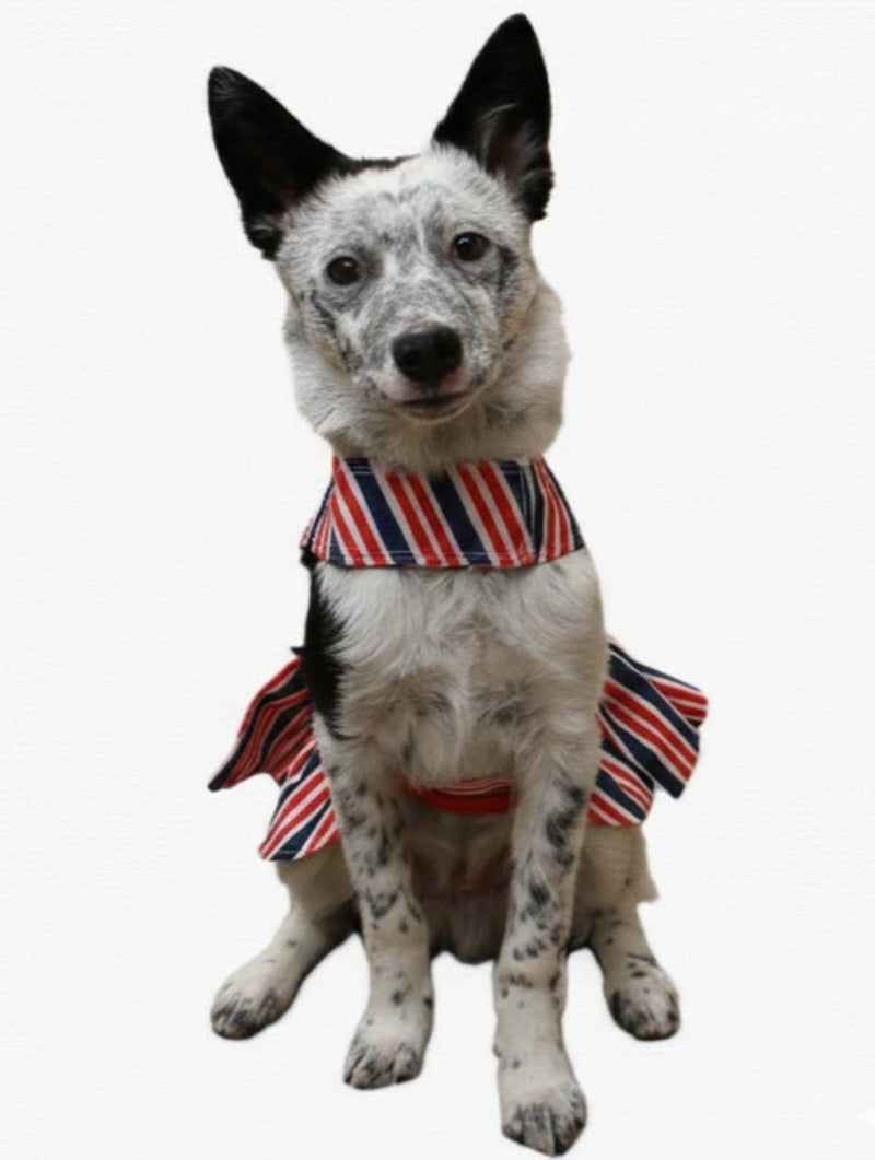 Doggie Design Doggie Design - Patriotic Dog Dress with Matching Leash: X-Large