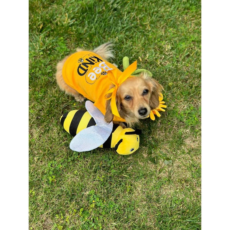 Parisian Pet® Tee's Bee Kind Spring Yellow Dog T-Shirt