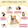 TM - SH Pet dog toys Luxury Inspired Fun Ring in Plush Red Ring Box Interactive Dog Toy