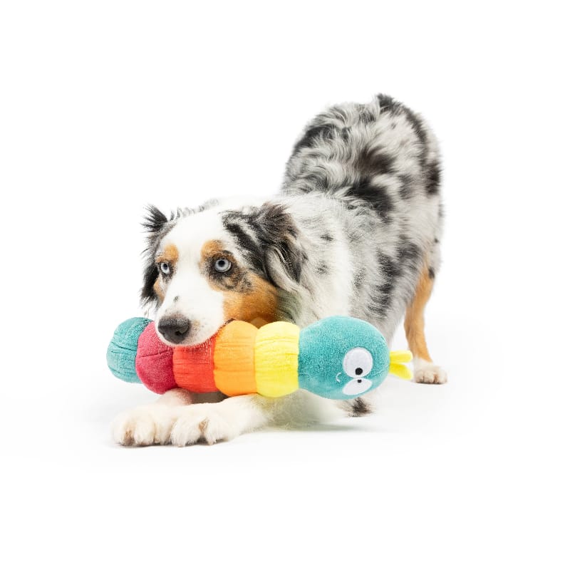 Huxley & Kent Dog Toys Fetchies Caterpillar Plush Squeak Dog Toy - 2 Sizes