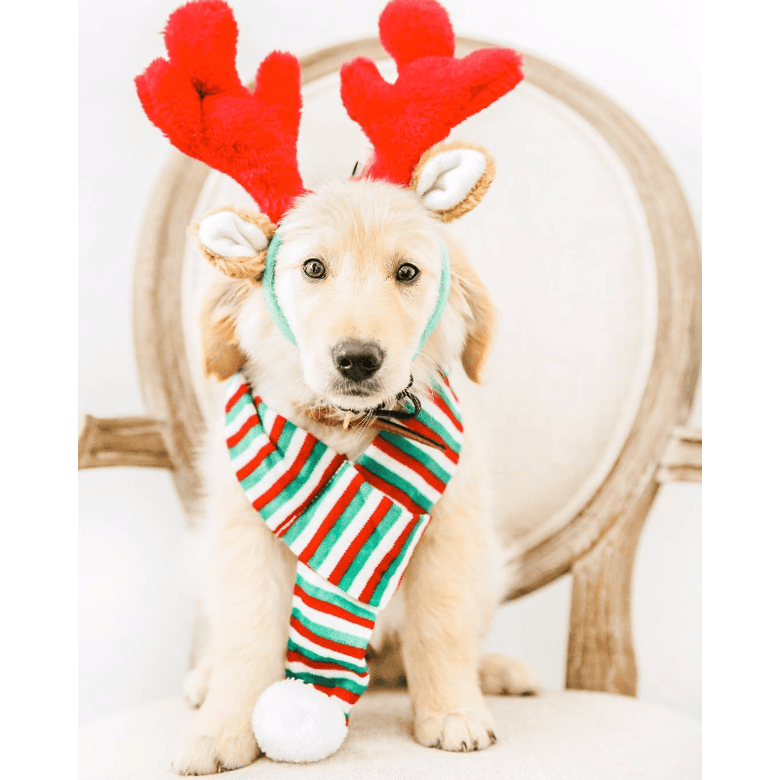 ZippyPaws Hats Reindeer Antlers Holiday Dog Headband