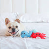 Hugsmart Products Inc dog toys Ocean Pals Sea Creatures Plush Dog Toy Set - 3 Pc