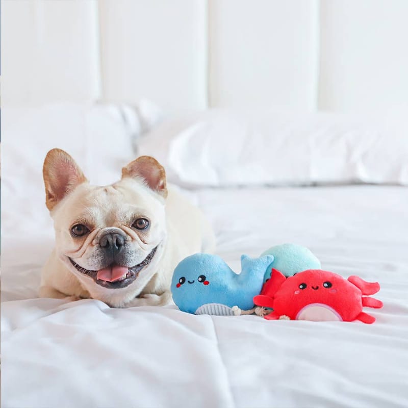 Hugsmart Products Inc dog toys Ocean Pals Sea Creatures Plush Dog Toy Set - 3 Pc