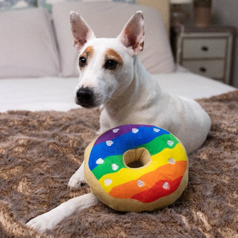 Huxley & Kent dog toys Rainbow Pride Plush Squeaky Donut Dog Toy - 2 Sizes