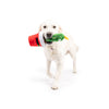 Christmas Holiday Seek 'n Treat Prickly & Bright Pawt Plush Squeaky Dog Toy