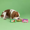 Petshop by Fringe Studio dog toys Easter Eggstra Sweets Spring Small Plush Squeak Dog Toy Set - 3 Pc