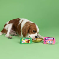 Petshop by Fringe Studio dog toys Easter Eggstra Sweets Spring Small Plush Squeak Dog Toy Set - 3 Pc
