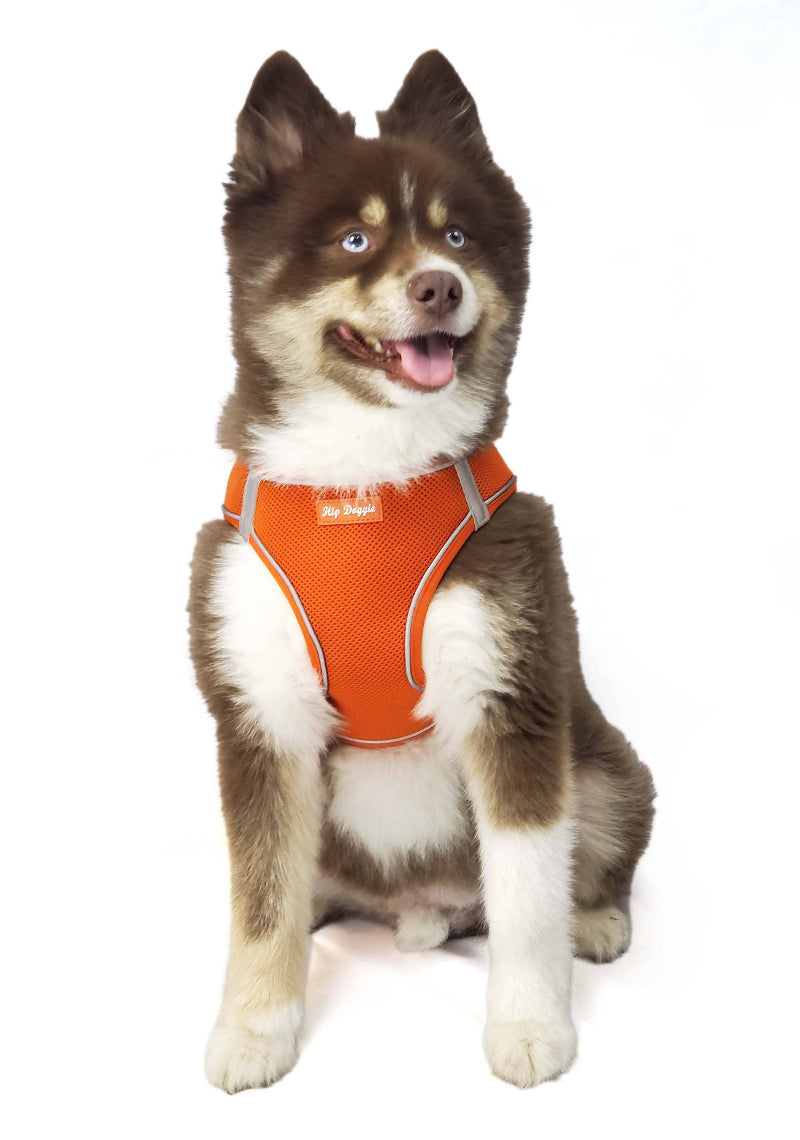 Barker's Bowtique Barker's Bowtique - Hip Doggie-Old Header Cards-EZ Step-In Harness -Orange: XXS