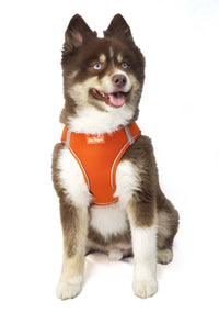 Barker's Bowtique Barker's Bowtique - Hip Doggie-Old Header Cards-EZ Step-In Harness -Orange: XXS