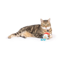 Christmas Holiday Bird Chirpy Interactive Cat Toy