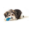 Petstages dog toys Mini Orka Chew Pair Bone & Dumbbell Dog Toys - 2 Pack
