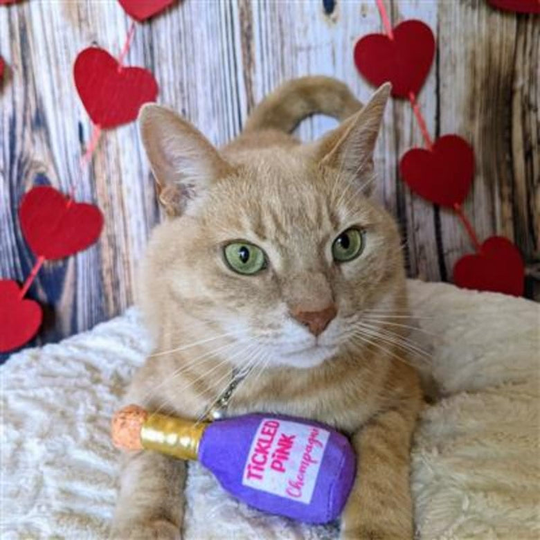 Huxley & Kent Cat Toys Tickled Pink Chompagne Plush Cat Toy