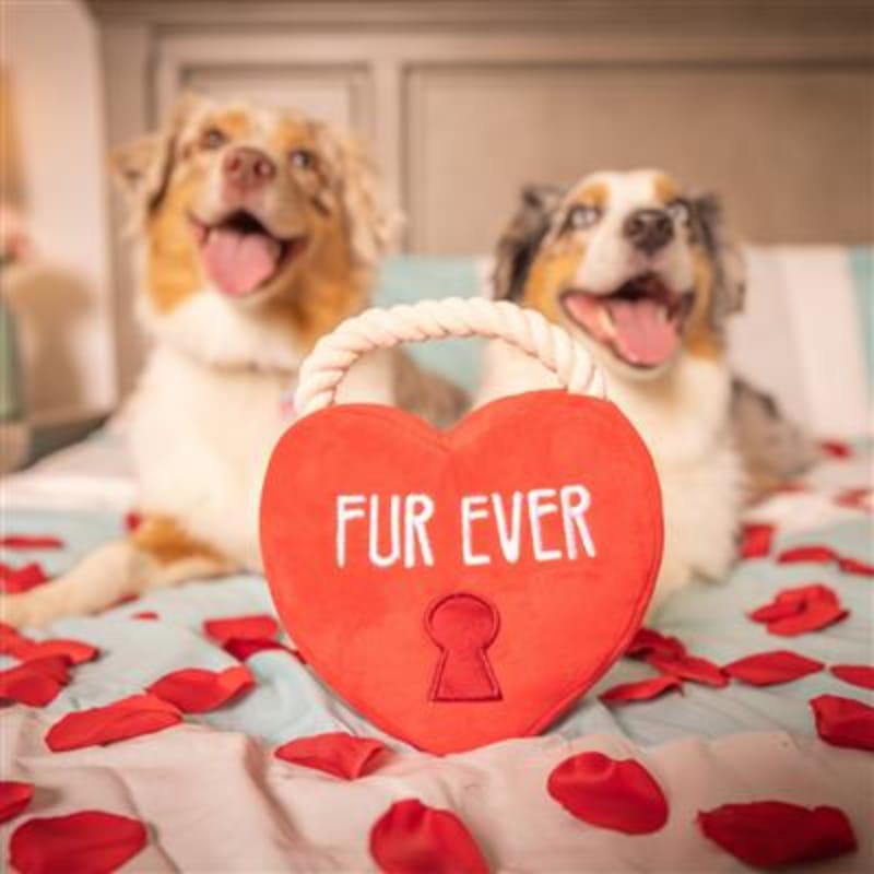 Huxley & Kent dog toys Fur Ever Lock Red Heart Plush Squeak Dog Toy