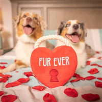Huxley & Kent dog toys Fur Ever Lock Red Heart Plush Squeak Dog Toy