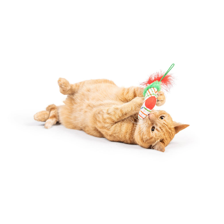 Christmas Stocking Flinger Holiday Plush Cat Toy
