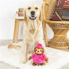 PetShop by Fringe Studio dog toys Love On Delivery Plush Squeak Dog Toy