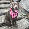 Hunter K9 Bandanas Valentine Red & Pink Hearts Dog Bandana
