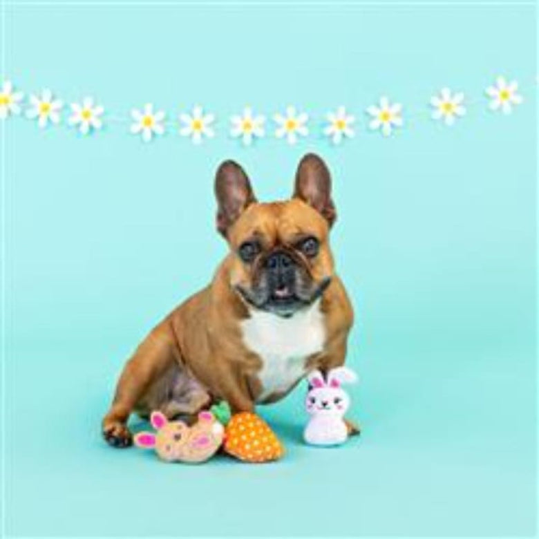 PetShop by Fringe Studio Dog Toys Easter Can't Stop The Hop Spring Small Plush Squeak Dog Toys Set - 3 Pk