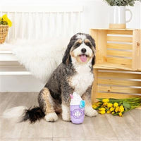 PetShop by Fringe Studio dog toys Cotton Tail Coffee Co. Spring Plush Squeak Dog Toy
