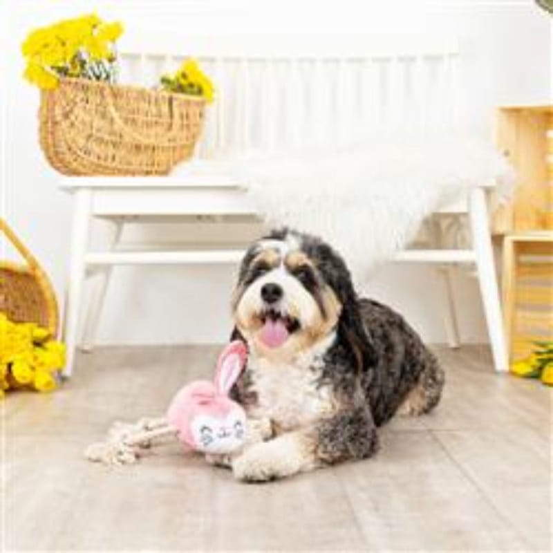 PetShop by Fringe Studio dog toys No Bunny Compares Easter Spring Rope Pink Plush Squeak Dog Toy