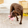 PetShop by Fringe Studio dog toys No Bunny Compares Easter Spring Rope Pink Plush Squeak Dog Toy