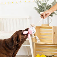 PetShop by Fringe Studio dog toys No Bunny Compares Easter Spring Rope Pink Plush Squeak Dog Toy