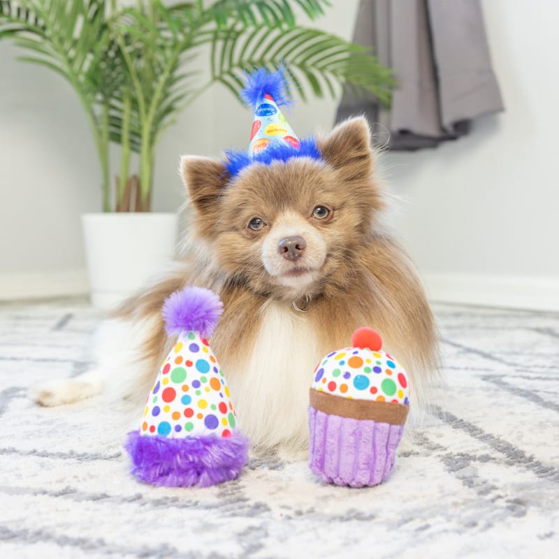 Huxley & Kent Toys It's My Barkday Pupcake/Hat Purple Plush Squeaky Dog Toy Set - 2pk