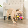 Huxley & Kent dog toys Tiny Tuff No Regrets Plush Dog Toy Set - 2 Pk