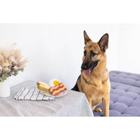 Pearhead, Inc. dog toys Barkfast Dog Toys Set - 3 Pc