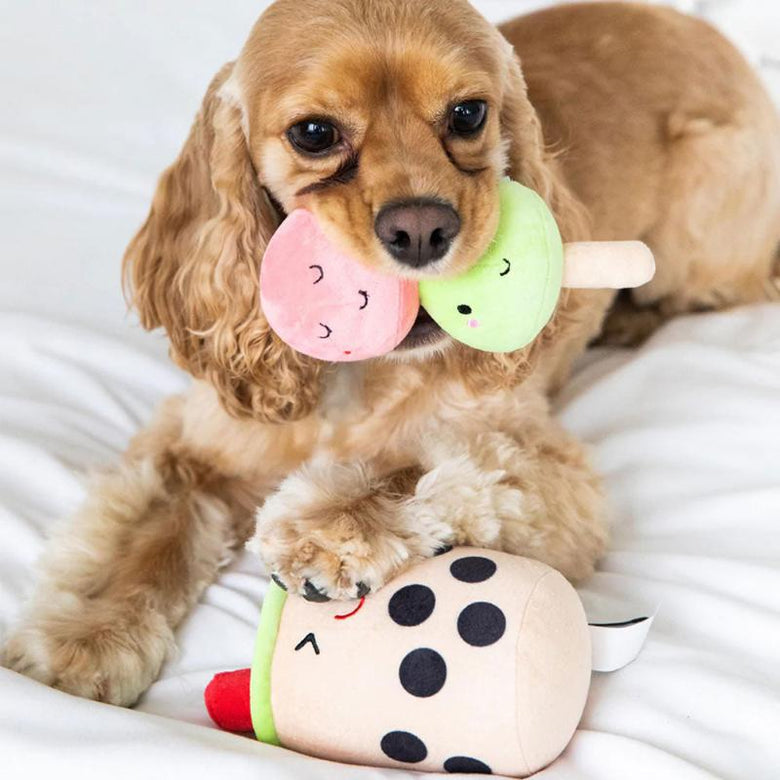 Pearhead, Inc. dog toys Bubble Tea Plush Dog Toy Set - 2 Pc