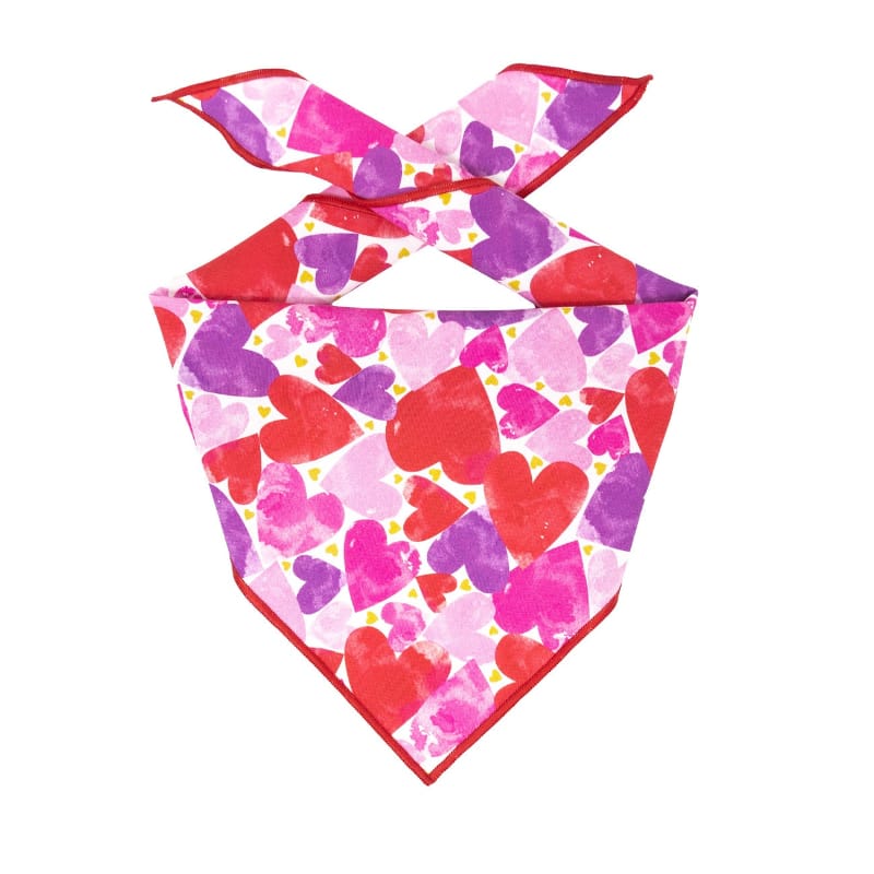 Hunter K9 Bandanas XS Valentine Lots of Hearts Dog Bandana
