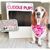 Hunter K9 Bandanas Valentine Lots of Hearts Dog Bandana