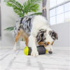 Huxley & Kent dog toys Muttster Energy Plush Dog Toy
