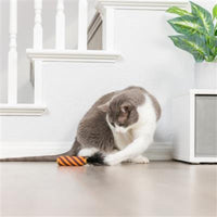 Huxley & Kent Cat Toys Halloween Spiderweb Donut & Black Flake Candle Cat Toy Set - 2 Pc