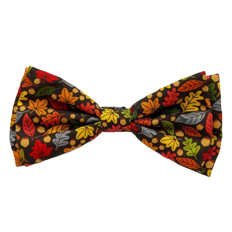 Huxley & Kent Bow Tie SM Fall Season Leaves & Nuts Pet Bow Tie Collar Attachment - 3 Sizes