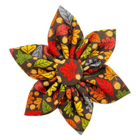 Huxley & Kent Bow Tie SM Fall Season Leaves & Nuts Pinwheel Pet Collar Attachment - 2 Sizes