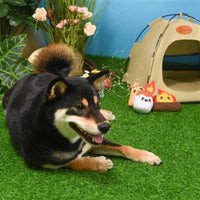 HugSmart Pet Toys Camping Pups Camp Hound Plush Dog Toy Set - 3 Pc