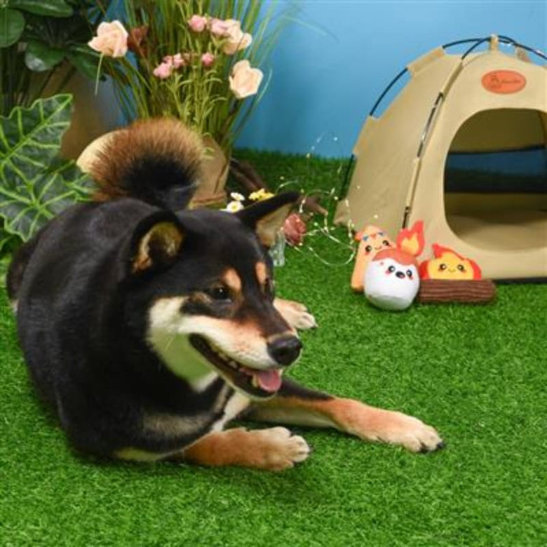 HugSmart Pet Toys Camping Pups Camp Hound Plush Dog Toy Set - 3 Pc
