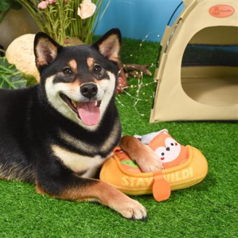 HugSmart Pet Toys Camping Pups Kayak Dog Toy - 3pc