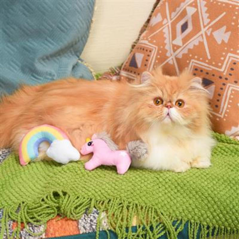 Huxley & Kent Cat Toys Crazy Catcher Unicorn & Rainbow Cat Toys - 2pk