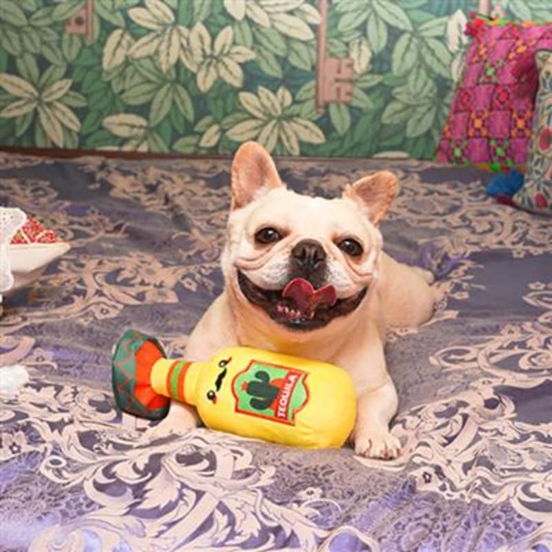 HugSmart Pet dog toys Fiesta Chewsday Tquila Squeak Plush Dog Toy