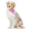 Huxley & Kent Huxley & Kent - Party Time Pink Bandana 2.0: Pink / Small
