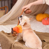 HugSmart Pet Toys Autumn Tailz Acorns Rope Plush Squeak Dog Toy